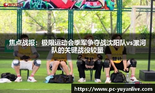 雨燕体育直播APP